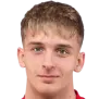gergo tercza
