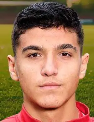 E. Demirtaş