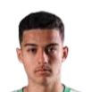 Davi Goes Silva Ferreira Carvalho