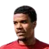 Nélson Henrique Machado da Silva