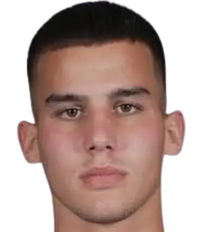 Dimitrije Minić