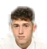 Diego Ripani