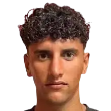 Giulio Ponticelli