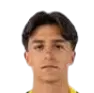Tiago Olmedo Vila