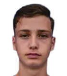 Ilija Despotovic