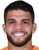 Berguinho