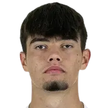 mirza catovic