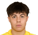 luka karahodzic dovzan