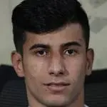 Amir Mohammad Panahi