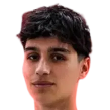Karan Topdemir
