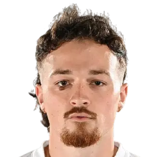 Dyson clapier