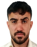 Mehdi Mamizadeh