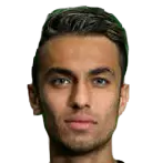 Sina Zamehran