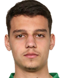 Mitja Krizan