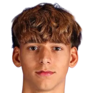 Salvador Vieira Barata Gomes