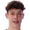 Wout Willemsen