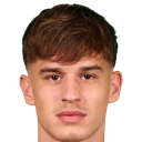 Bogdan mircetic