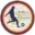 মিফা