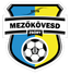 Mezokovesd Zsory FC