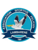 Pelican Lambaréné