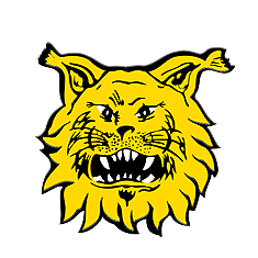Ilves base juvenil