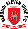 ইলেভেন ওয়াইজ