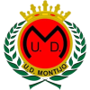 مونتيجو