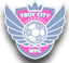 Troy City WFC (W)