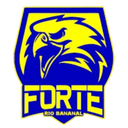 ফোর্টে FC