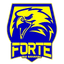 ফোর্টে FC