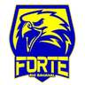 ফোর্টে FC
