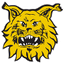 इल्वेस U20