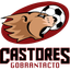 Castores Gobrantacto