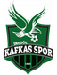 Inegol Kafkasspor U19