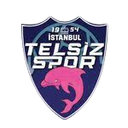 Telsizspor (W)