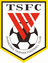 Shandong Taishan U21