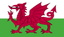Wales U16