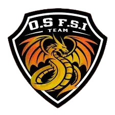 Orange Sport FSI