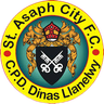 St Asaph City