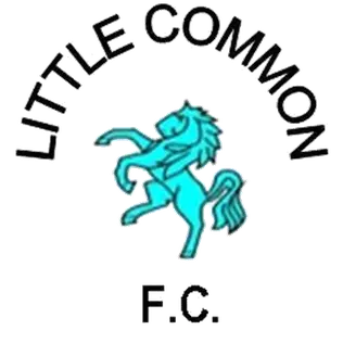 Little Common FC