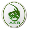 এএস রিয়াল