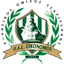 Tsaritsani FC