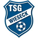 TSG Wieseck U17