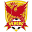 Dehong Team