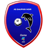 এএস দোফিনস নোয়ার