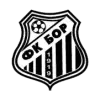 Bor 1919