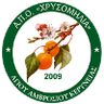 AMOK Chrysomilia (w)