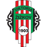 Viktoria Zizkov