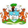 ফ্রিটাউন সিটি