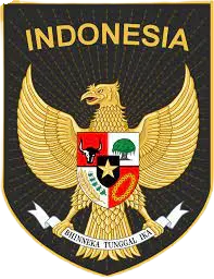 Indonesia Fútbol Playa